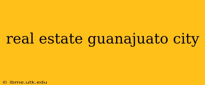 real estate guanajuato city
