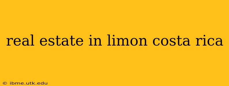 real estate in limon costa rica