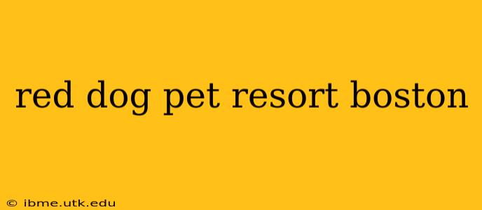 red dog pet resort boston