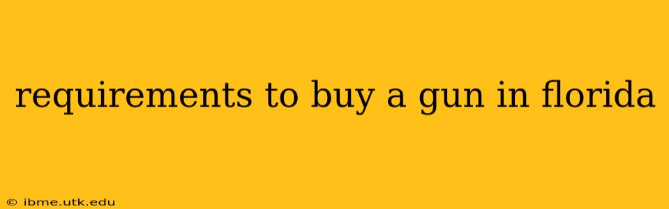 requirements to buy a gun in florida