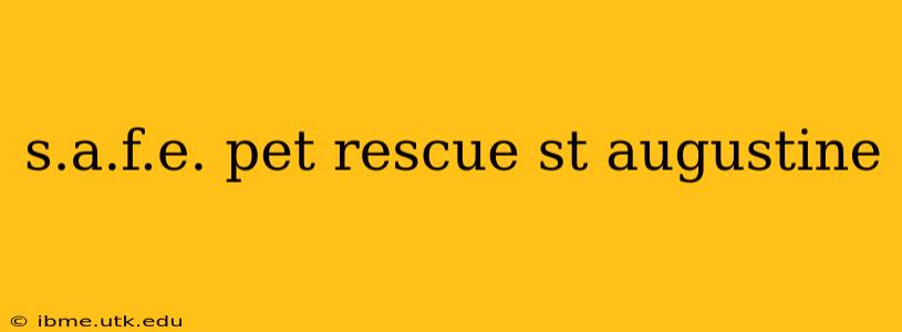 s.a.f.e. pet rescue st augustine
