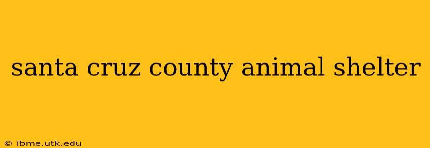 santa cruz county animal shelter