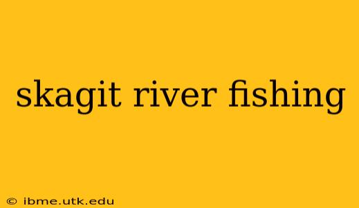 skagit river fishing