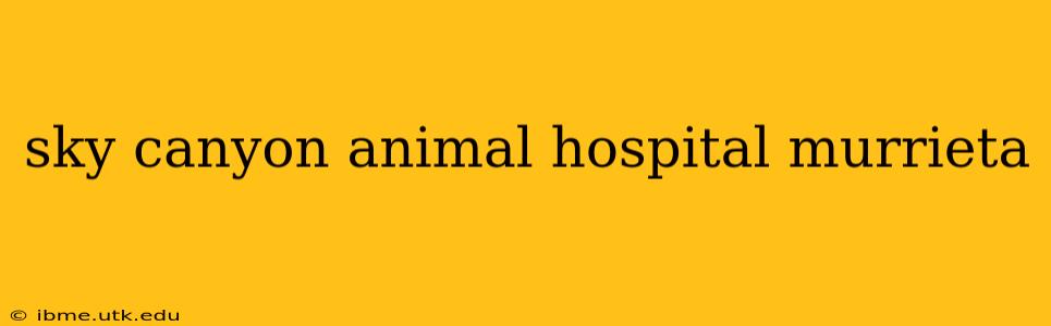 sky canyon animal hospital murrieta
