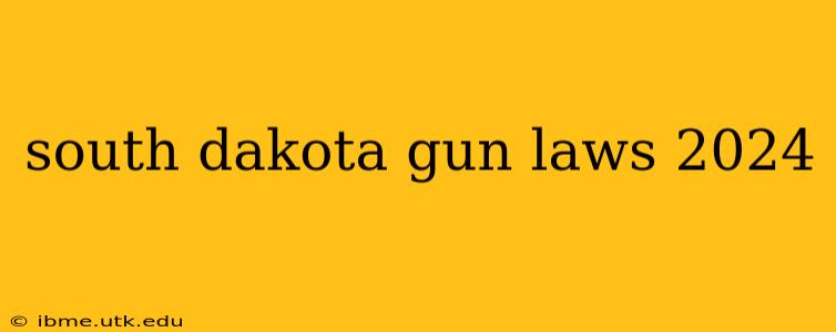 south dakota gun laws 2024