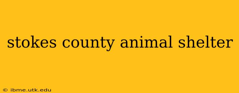 stokes county animal shelter