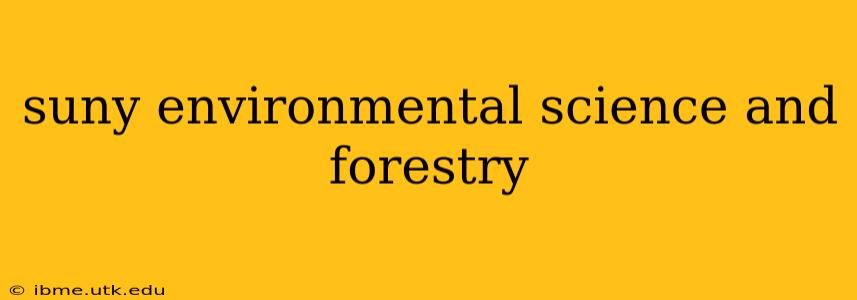 suny environmental science and forestry