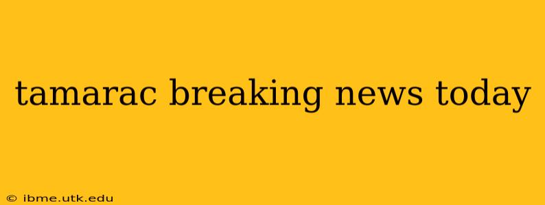 tamarac breaking news today