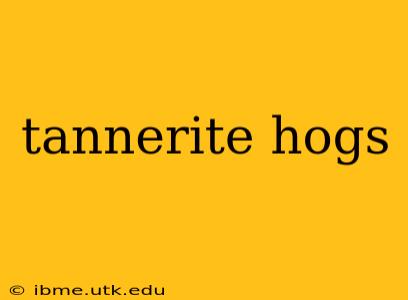 tannerite hogs