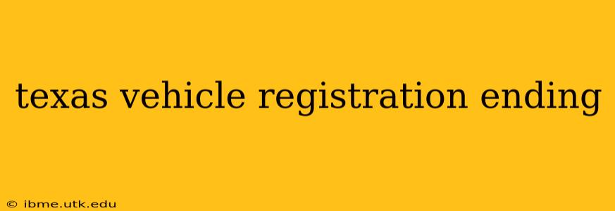 texas vehicle registration ending