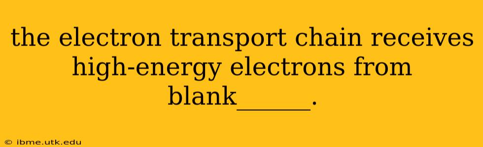 the electron transport chain receives high-energy electrons from blank______.