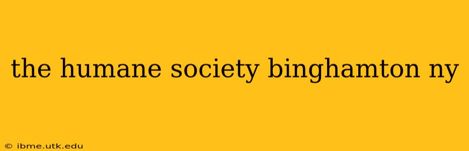 the humane society binghamton ny