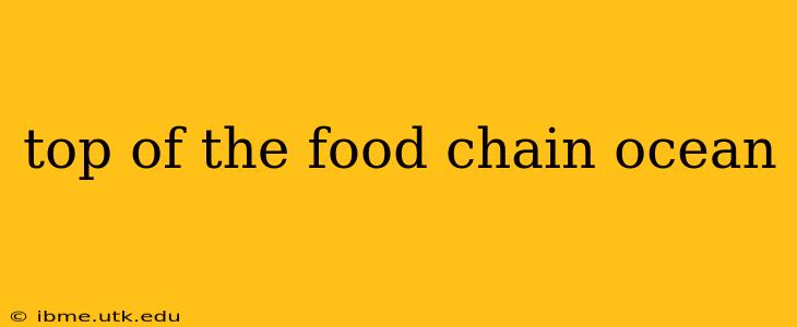 top of the food chain ocean