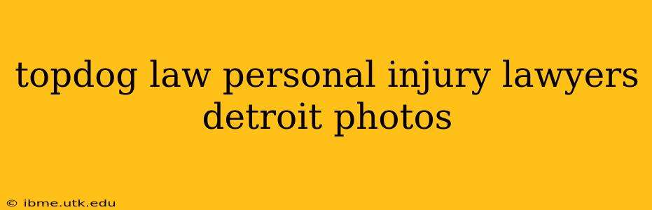 topdog law personal injury lawyers detroit photos