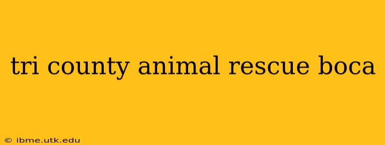 tri county animal rescue boca