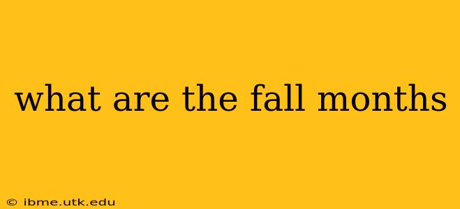 what are the fall months