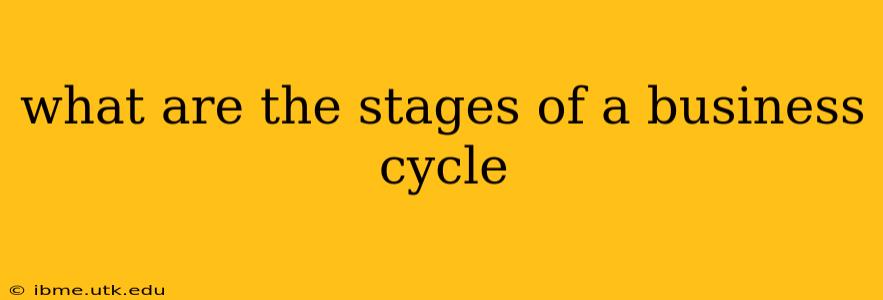 what are the stages of a business cycle