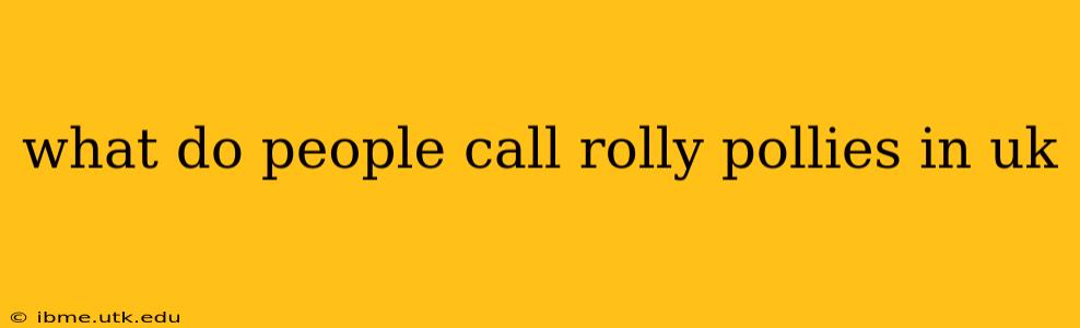 what do people call rolly pollies in uk