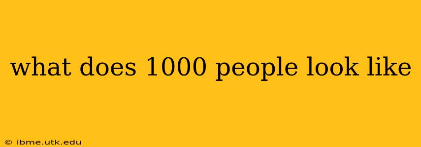 what does 1000 people look like