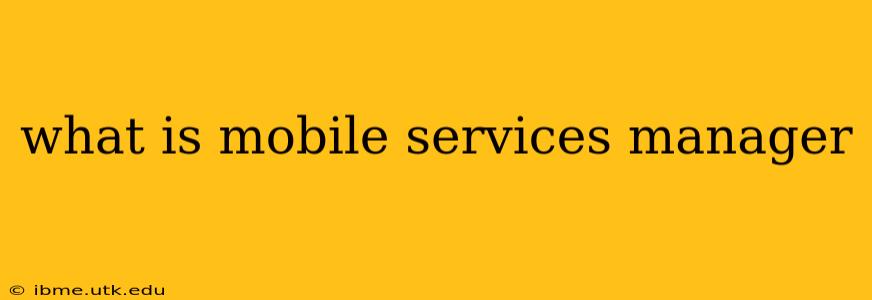 what is mobile services manager
