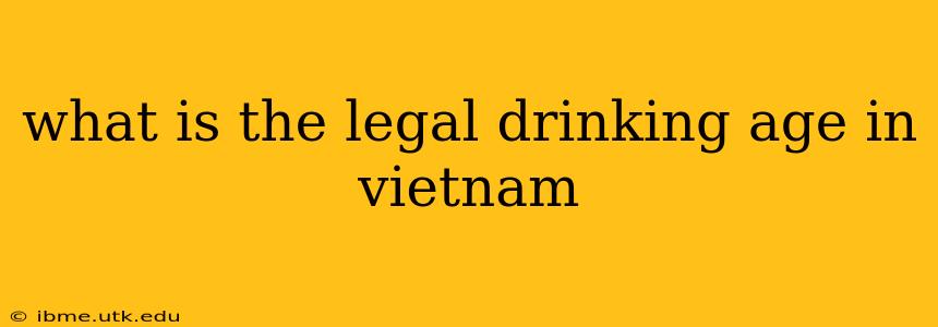 what is the legal drinking age in vietnam
