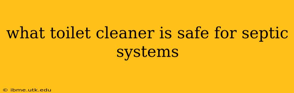 what toilet cleaner is safe for septic systems