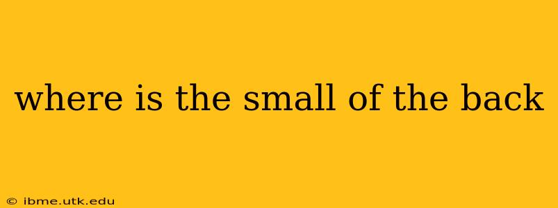 where is the small of the back