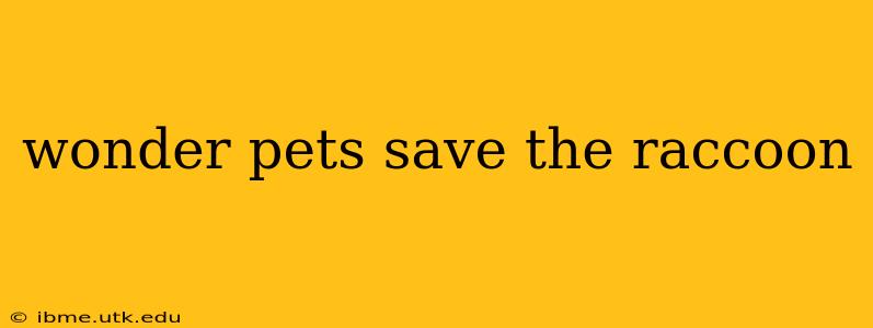 wonder pets save the raccoon