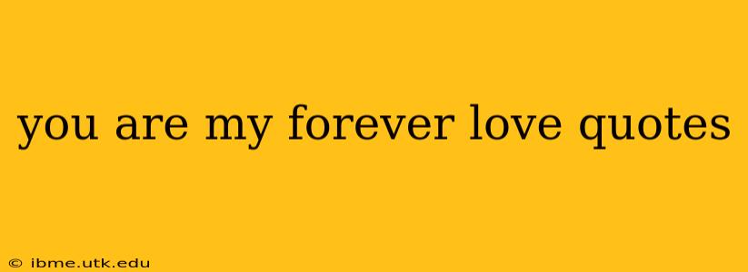 you are my forever love quotes